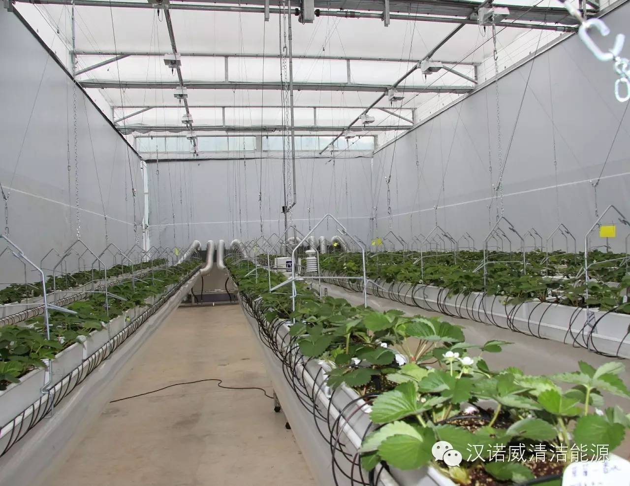 漢諾威清潔能源